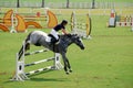 Horse Jumping