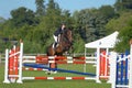 Horse jumping