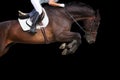 Horse jumping on black background.