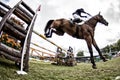 Horse jumping competition