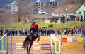 Horse jumping contest Varna Bulgaria Royalty Free Stock Photo