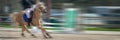 Horse Jumping, Equestrian Sports, Show Jumping Competition panoramic background with motion blur Royalty Free Stock Photo