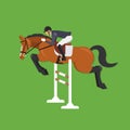 Horse Jumping Over Fence, Equestrian sport