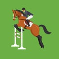 Horse Jumping Over Fence, Equestrian sport