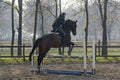 Horse jumping over the hurdle