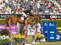 Horse jumping - Pedro Veniss