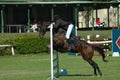 Horse jumping sport Royalty Free Stock Photo