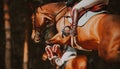 A horse jumps over a high barrier at a show jumping competition. Equestrian sports and horse riding