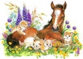 Horse and and kittens. background with flower. illustration