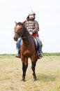 Horse knights Royalty Free Stock Photo