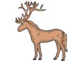 Horse with large deer. Sketch scratch board imitation color.