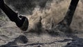 Horse legs in grey dust, detail of horse hoof in dusty gravel. Horse in motion