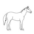Horse line drawing. Minimalistic style for logo, icons, emblems, template, badges. Isolated on white background. Royalty Free Stock Photo