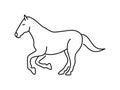 Horse linear vector icon. Isolated outline of an horse on a white background. Horse drawing Royalty Free Stock Photo