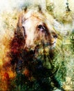 Horse and lion heads, abstract ocre background Royalty Free Stock Photo