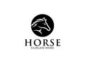 horse logo design, head horse logo vector template Royalty Free Stock Photo