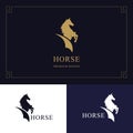 Horse logo. King stallion in jump. Racehorse head profile. Stylish graphic template design for company, farm, race. Vector Royalty Free Stock Photo