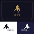 Horse logo. King stallion in jump. Racehorse head profile. Stylish graphic template design for company, farm, race. Vector