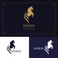 Horse logo. King stallion in jump. Racehorse head profile. Stylish graphic template design for company, farm, race. Vector Royalty Free Stock Photo