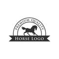 Horse Logo Template Royalty Free Stock Photo