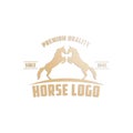 Horse Logo Template Royalty Free Stock Photo