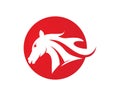 Horse Logo Template Vector symbol Royalty Free Stock Photo