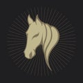 Horse logo vector icon design Royalty Free Stock Photo