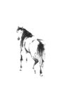 Horse looking back Japanese style original sumi-e ink painting. Royalty Free Stock Photo