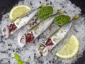 Horse mackerel is the name given to the fish species that make up the Trachurus genus from the Carangidae family Royalty Free Stock Photo