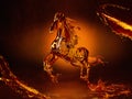 Horse made out of liquid whisky