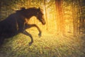 Horse in a Magical Fiery Forest