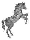 Horse Mandala Coloring Pages for Adults