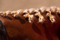 Horse mane with edits - blue flowers Royalty Free Stock Photo