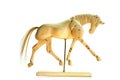 Horse mannequin trot Royalty Free Stock Photo