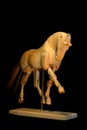 Horse mannequin trot Royalty Free Stock Photo