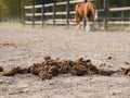 Horse manure close-up. Concept. Manure on the background of the horses