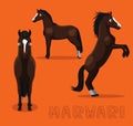 Horse Marwari Cartoon Vector Illustration