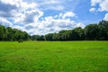 Horse meadow in Bad WÃÂ¼nnenberg Royalty Free Stock Photo