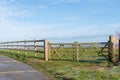 Horse meadow with a road next to it Royalty Free Stock Photo