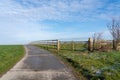 Horse meadow with a road next to it Royalty Free Stock Photo