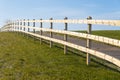 Horse meadow with a road next to it Royalty Free Stock Photo