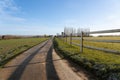 Horse meadow with a road next to it Royalty Free Stock Photo