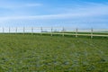 Horse meadow with a road next to it Royalty Free Stock Photo