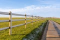 Horse meadow with a road next to it Royalty Free Stock Photo