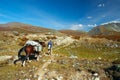 Horse, men and blue sky. Altay.