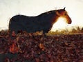 Horse on the mountain pasture at horse farm.  White horse Royalty Free Stock Photo