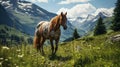 Horse in the mountains on a sunny day. Alpine landscape