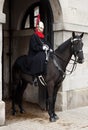 Horse mounted english royal guard