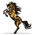 Horse Mustang Rearing Vector Mascot Logo Design Illustration