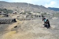 Horse near Mount Bromo in East Java, Royalty Free Stock Photo